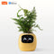 Yellow Tuya Ivy Smart Planter,Endless Fun over 49 Rich Expressions,7 Smart Sensors and AI Chips Make Raising Plants Easy and Fun